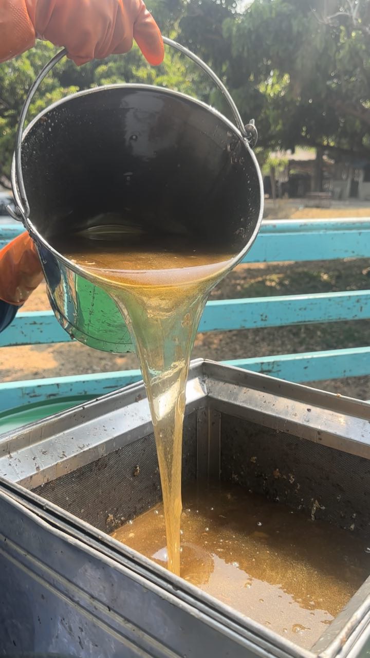 photo_6197294992884612426_y